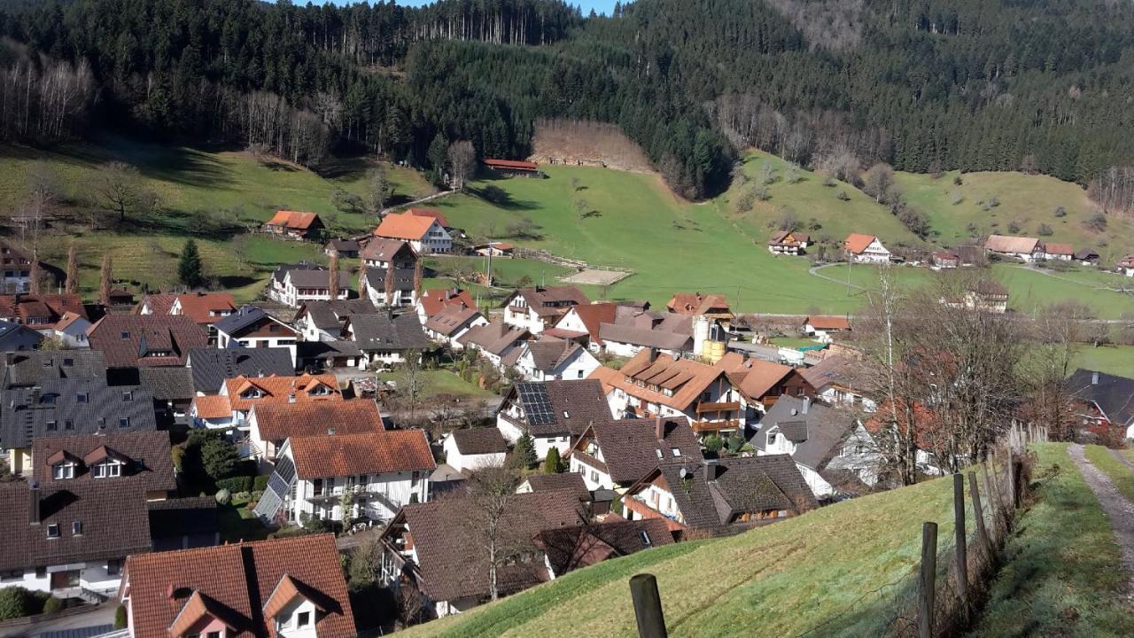 Ferienwohnung Muehlengruen Oberwolfach Bagian luar foto
