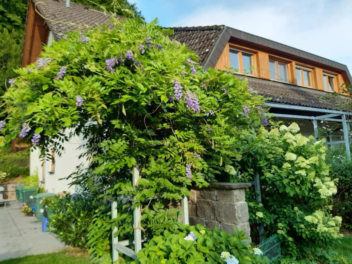 Ferienwohnung Muehlengruen Oberwolfach Bagian luar foto