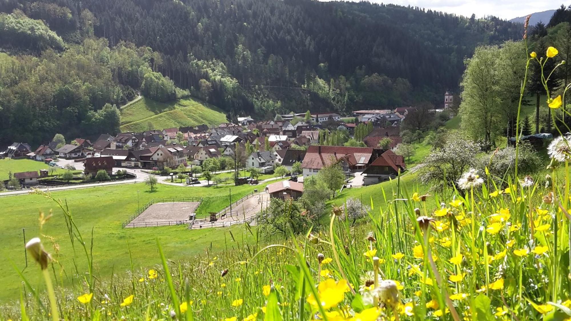 Ferienwohnung Muehlengruen Oberwolfach Bagian luar foto