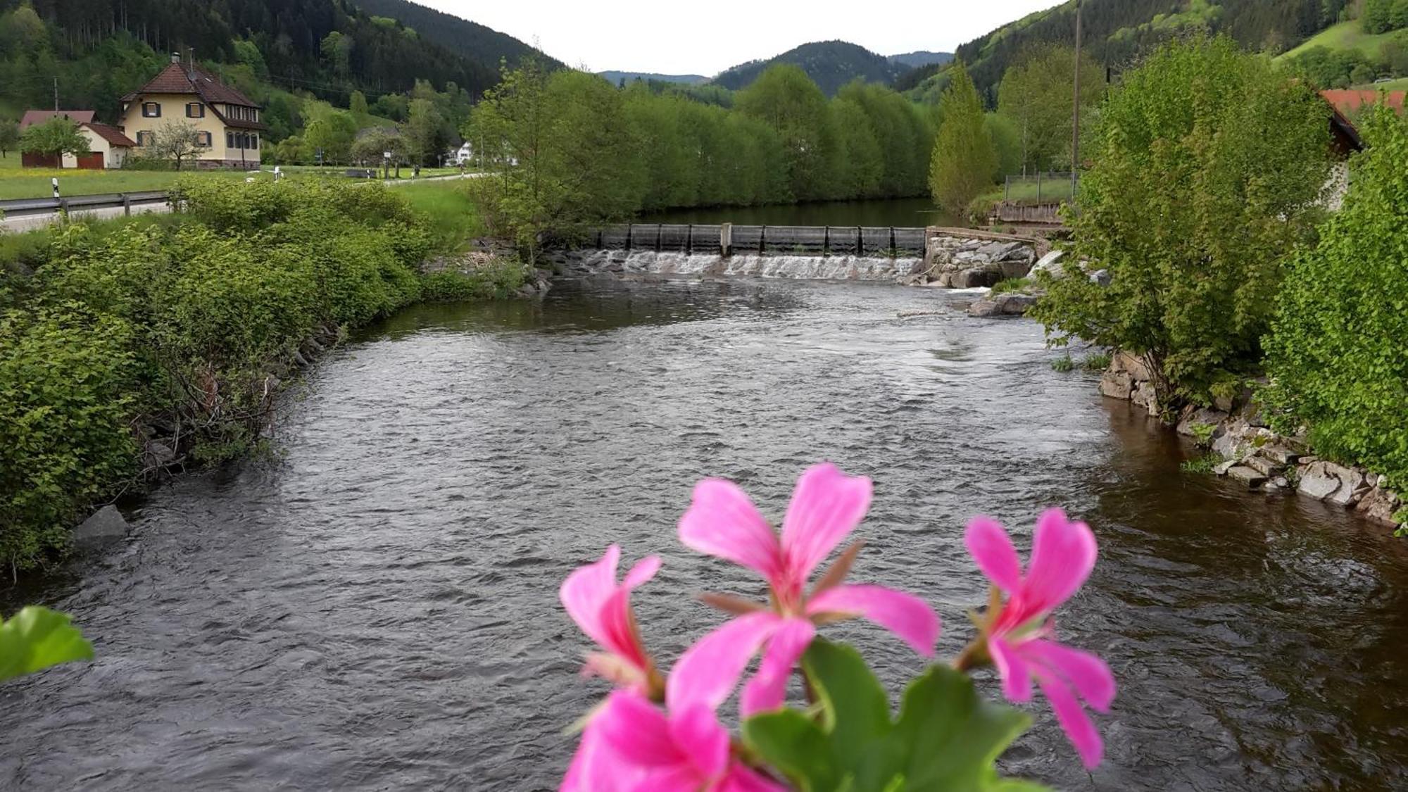 Ferienwohnung Muehlengruen Oberwolfach Bagian luar foto