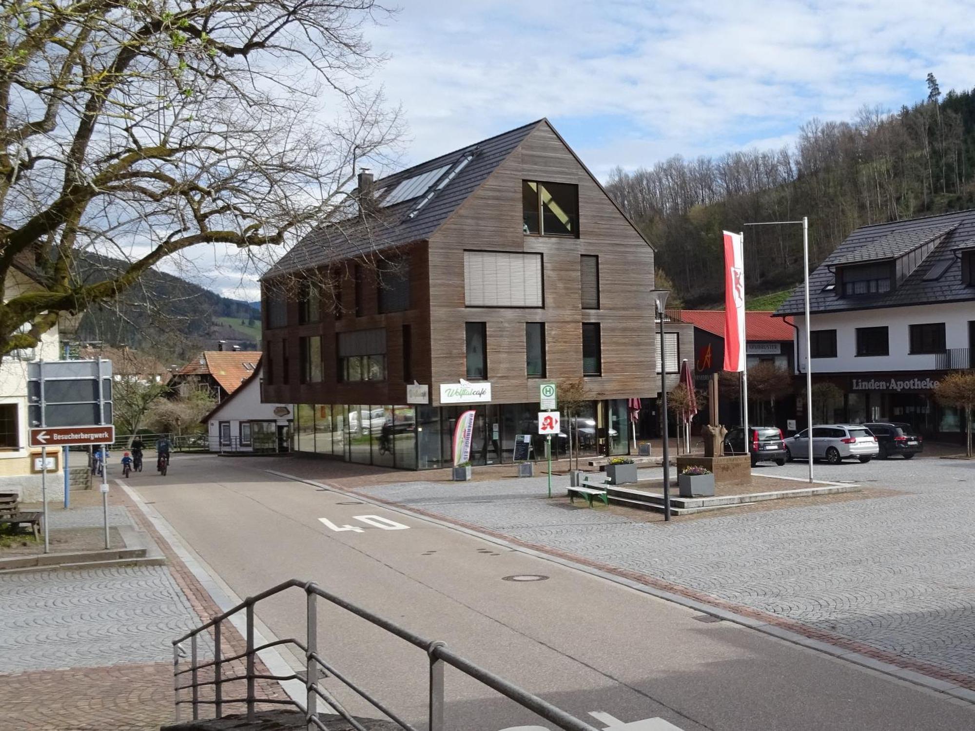 Ferienwohnung Muehlengruen Oberwolfach Bagian luar foto