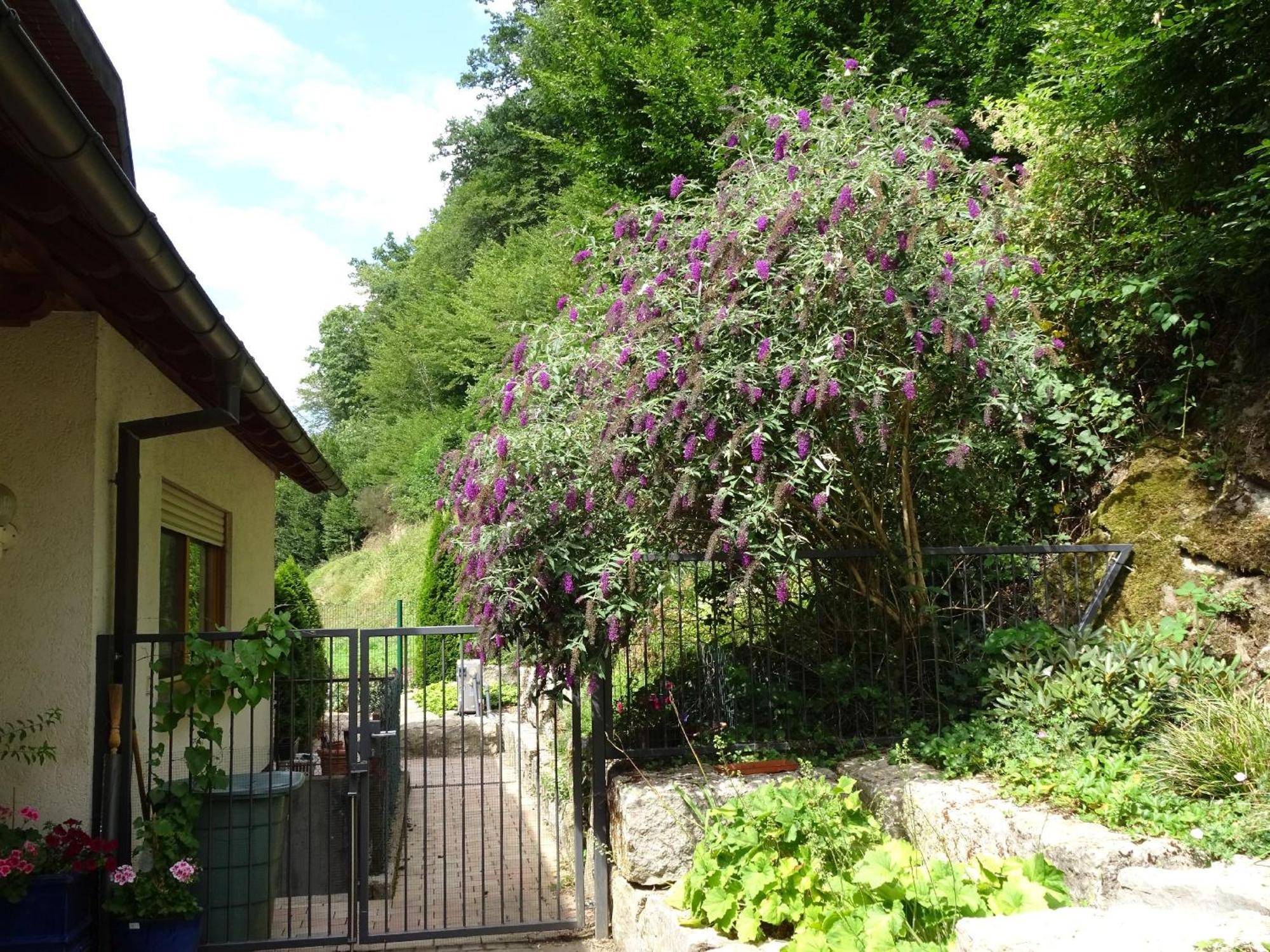 Ferienwohnung Muehlengruen Oberwolfach Bagian luar foto